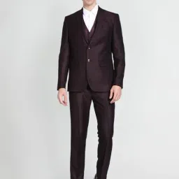 Arrow Purple Regular Fit Self Pattern Three Piece Suit-picture-43