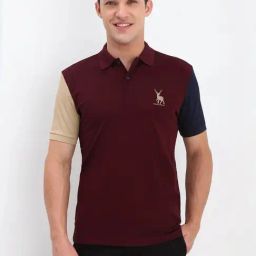 Allen Solly Maroon Cotton Regular Fit Colour Block Polo T-Shirt-image-18