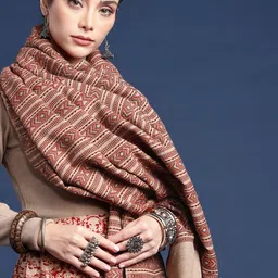 Taavi Geometric Woven Design Kullu Shawl-22