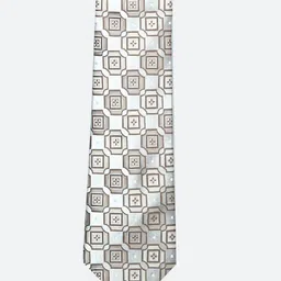 Tossido Men Silver-Toned & Brown Printed Slim Tie-picture-13