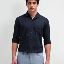 Arrow Blue Cotton Slim Fit Striped Shirt-picture-21
