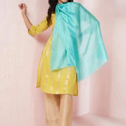 Fabindia Aqua Blue Striped Dupatta-picture-11