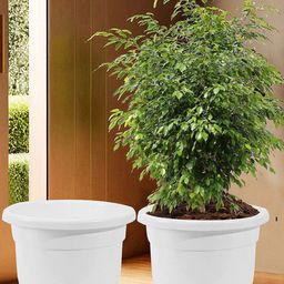 Kuber Industries White 2 Pieces Flower Pot With Removable Wheels-57