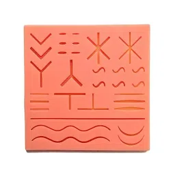 A-ONE SCIENCE Silicone Suture Practice Pad With 31 Precuts AOSBM245-6