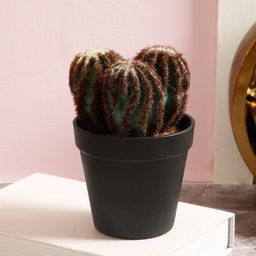 TAYHAA Green & Brown Artificial Cactus Plant With Pot-14