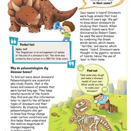 om books international Encyclopedia: Why Questions Children Ask - Encyclopedia books for kids - Questions and Answers about Human body,Solar System, Science, Nature and Many More... Paperback , English image 4