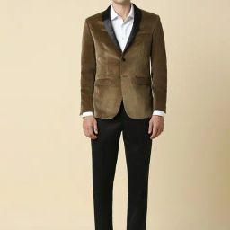 Allen Solly Brown Slim Fit Two Piece Suits-image-69