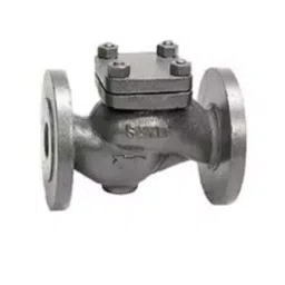 Sant 8 Inch,200 mm Cast Iron Horizontal Check Valve CI 3A-image-61