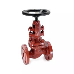 Sant 25 mm Cast Steel Globe Valve CS 1-image-65