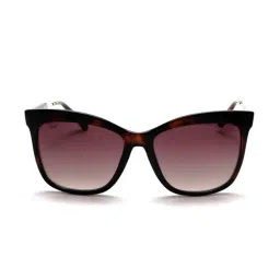 Scott SC501 Nicole Brown Gradient Cat Eye Sunglasses-image-43