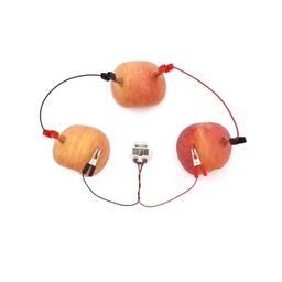 DIY Fruit Battery Alarm Clock Potato Power Clock Educational Toy: Build Your Own Fruit-Powered Alarm Clock - RS1482DIY Fruit Battery Alarm Clock Potato Power Clock Educational Toy: Build Your Own Fruit-Powered Alarm Clock - RS1482 image 1