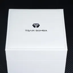 Tsar Bomba Men Brass Dial & Straps Analogue Automatic Motion Powered Watch TB8213A-02 image 3