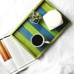 VarEesha Steam Beech Wooden Tray - Set of 1-11