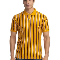ColorPlus Yellow Tailored Fit Polo Striped T-Shirt-picture-37