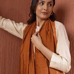Fabindia Rust Cotton Silk Blend Woven Dupatta-image-8