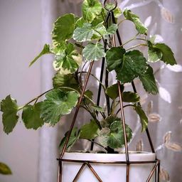 POSH-N-PLUSH White & Copper-Toned Marble With Metal Handcrafted Planter-image-89