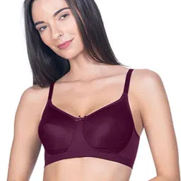Amante Burgundy Non Wired Non Padded Everyday Bra-image-84
