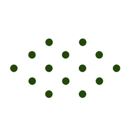 Comet Busters 14 Pcs Reusable Bindis - Dark Green image 2
