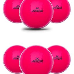 Jaspo T-20 Cricket Balls Pack of 6 - Pink-28
