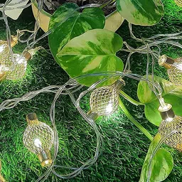 Decorcity Gold-Toned Led Net Ball String Ceiling Lamp image 4
