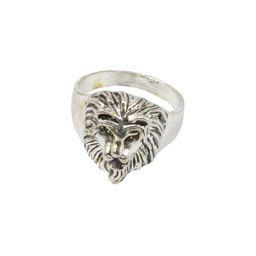 Sullery Unisex Silver Ring-image-100