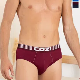 Lux Cozi Men Pack Of 3 Assorted Pure Cotton Basic Briefs  COZI_1121_LUXURY_AST1_3PC-picture-16