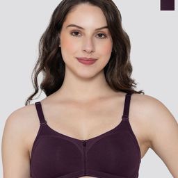 K LINGERIE Pack of 2 Moody Non Padded Everyday Bra-image-73