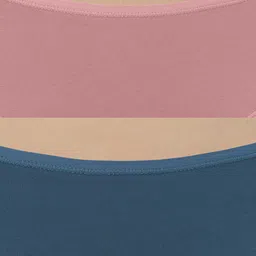 Amante Assorted Pack of 2 Low Rise Outer Elastic Bikini Briefs PPK32001 image 4