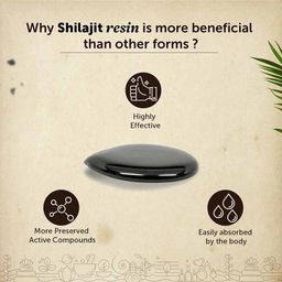 Neuherbs Pure Himalayan Shilajit,  15 g  image 4