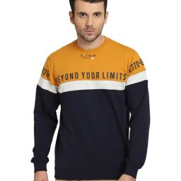 Cantabil Multicolor Round Neck Sweatshirt-image-29