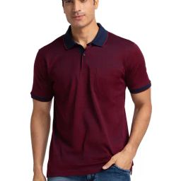 Raymond Blue & Maroon Contemporary Fit Polo Textured T-Shirt-image-20