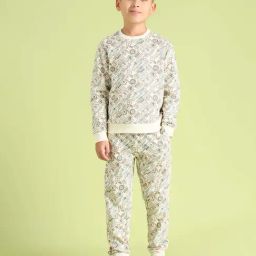 U.S. Polo Assn. Boys Beige & Green Cotton Printed Full Sleeves Sweatshirts-image-75