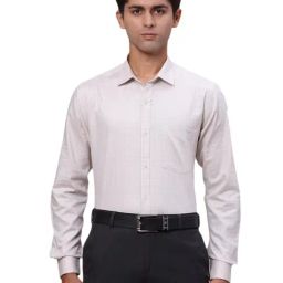 Park Avenue Beige Slim Fit Checks Shirt-image-43