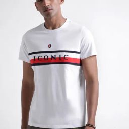 Iconic Men Colourblocked Regular Fit Cotton T-shirt-image-41