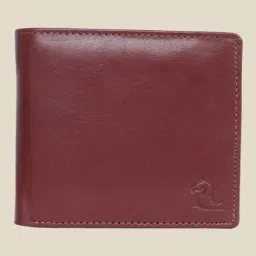 Kara Brown Solid Bi-Fold Leather Wallet-image-57