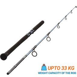 Fishing Rod 8ft Catfish Bigfight-5 60/150G-image-98