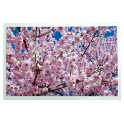 RS PRO TFT LCD Display / Touch Screen, 12.1in XGA, 1280 x 800pixels, 2540015-29