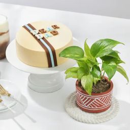 Sweet Goodness Father's Day Gift Combo-image-19