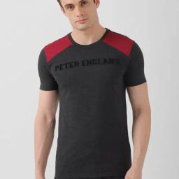Peter England Casuals Charcoal Slim Fit Colour Block T-Shirt-image-31