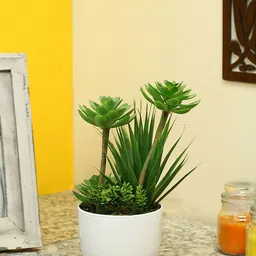 Aapno Rajasthan Green Artificial Plant with Plastic Pot-image-29