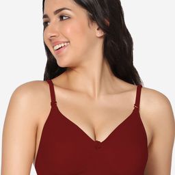 In Care Full Coverage Lightly Padded All Day Comfort Super Support Bra Cotton T-shirt Bra-picture-15