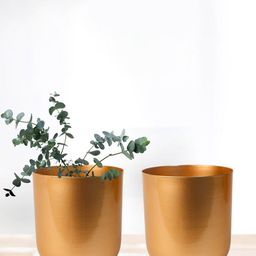 Nymph Gold-Toned 2 Pieces Flower Planters-picture-47