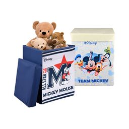 YK Navy Blue & White 2 Pieces Disney Printed Storage Box Organisers with Lid & Handles-image-40