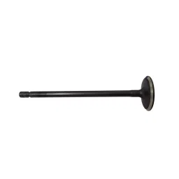 CHEVROLET J96463002, VALVE INT for BEAT-image-74
