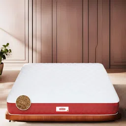 COIRFIT White & Maroon Quilted Cotton Chemical Free Single Size Orthopedic Mattress-image-41