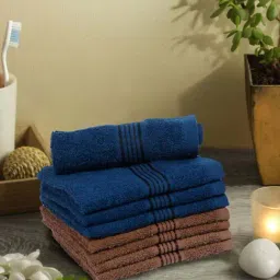 Bianca D'ross Navy & Brown 100% Cotton 380 GSM Face Cloths - Set of 8-picture-3