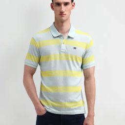 Arrow Sport Grey Cotton Regular Fit Striped Polo T-Shirt-image-86