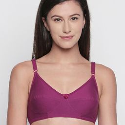 Bodycare Purple Solid Non-Wired Non Padded Everyday Bra E6584WIWIWI-18