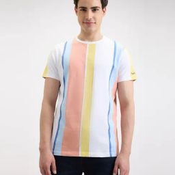 Pepe Jeans Multicolored Cotton Slim Fit Striped T-Shirt-image-13