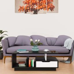 SPYDER CRAFT Engineered Wood Coffee Table (Black)-20